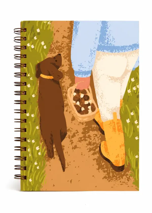 Caderno Colegial 17x24 Aurora - Companhia - Capa Dura